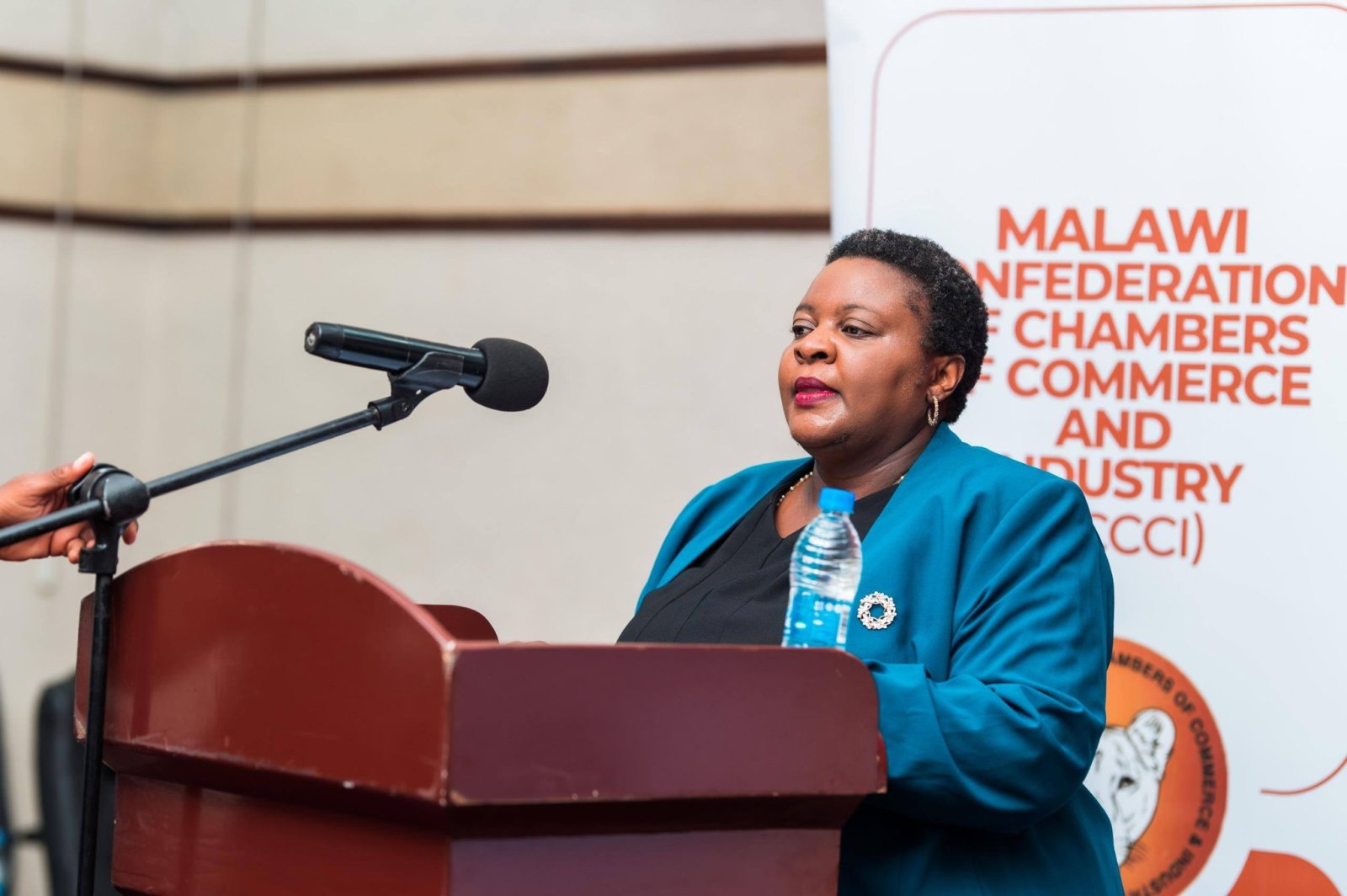 India-Malawi Business Meet, 17 February 2026